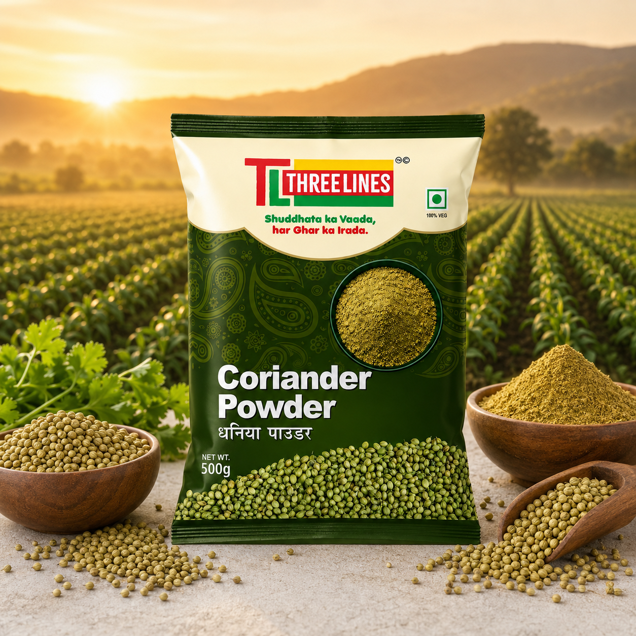 Coriander farm source